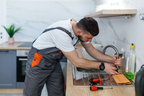 Best Plumbing Services Near Me  in Sheridan, IL