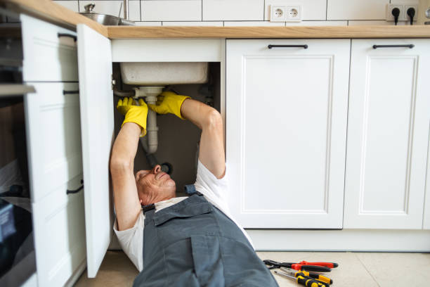 Best Emergency Plumber  in Sheridan, IL