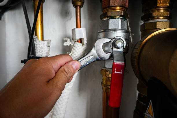 Best Plumbing Repair Near Me  in Sheridan, IL